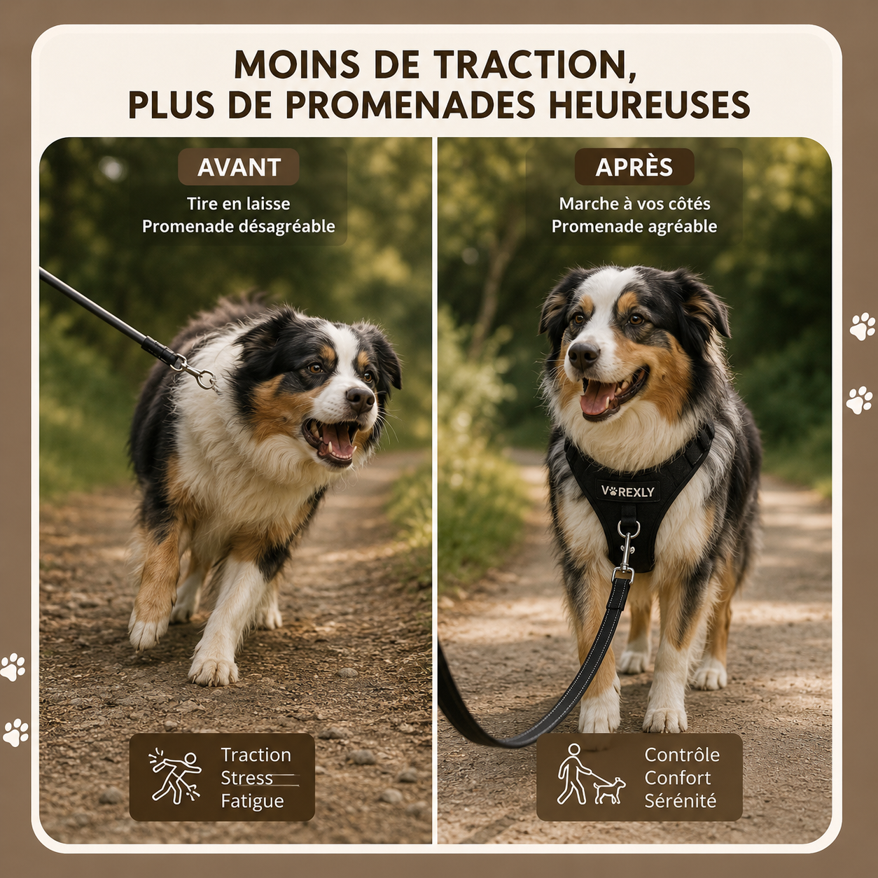 Harnais Anti-Traction VOREXLY™